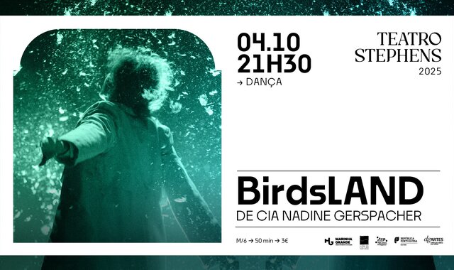 04_10_birdsland_banner_digital